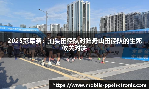 pp电子官网