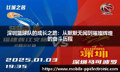 pp电子官网